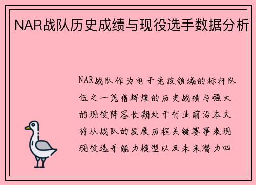 NAR战队历史成绩与现役选手数据分析