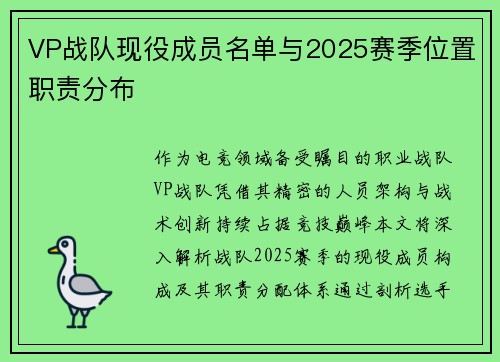 VP战队现役成员名单与2025赛季位置职责分布